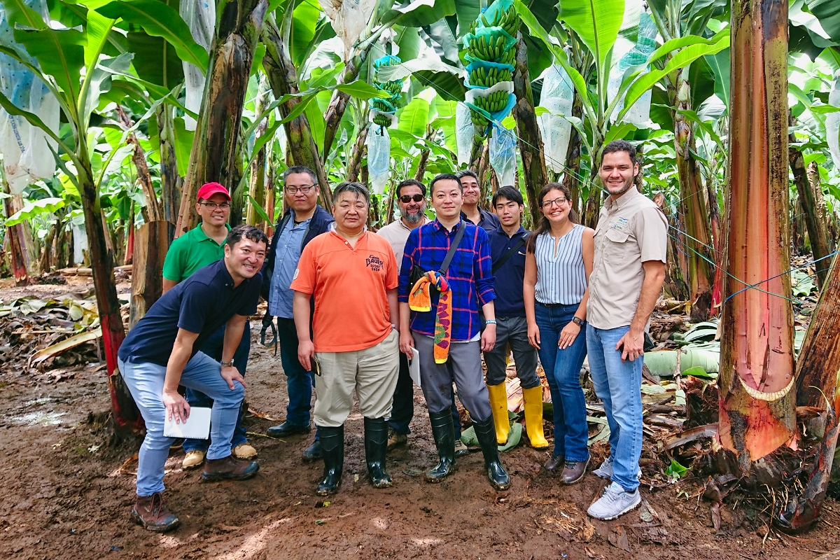 レイバンパック社