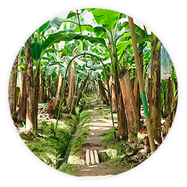 世界の食がMarでつながる