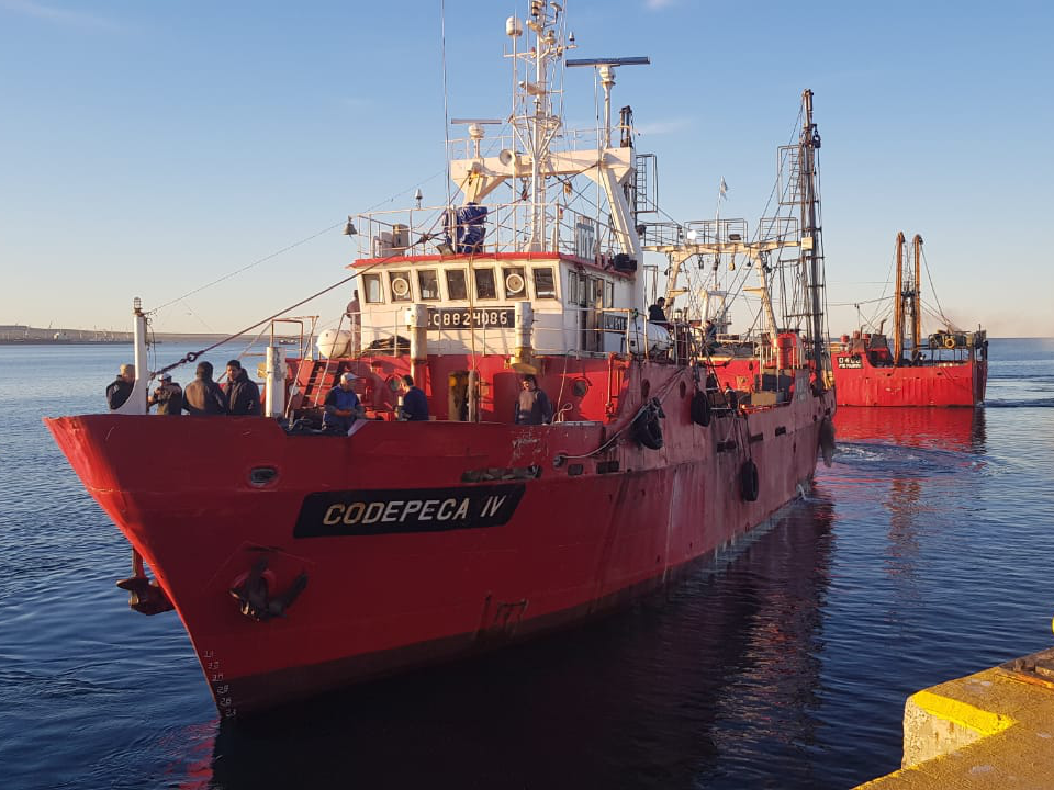 アルゼンチン赤海老