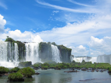 アルゼンチン赤海老