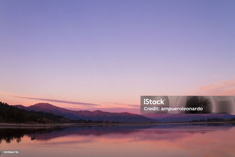 アルゼンチン赤海老