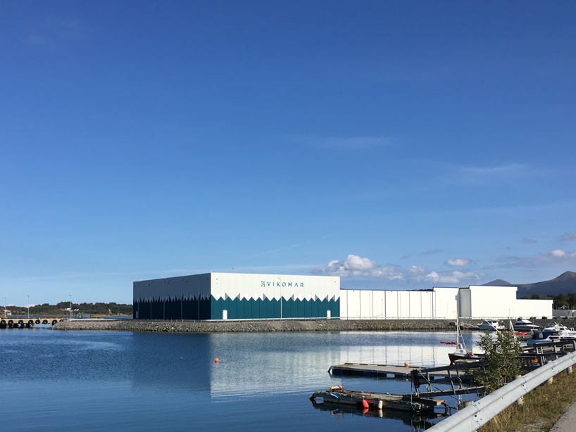 サバ製品 三枚卸フィーレ(無塩/有塩)、骨取り切身