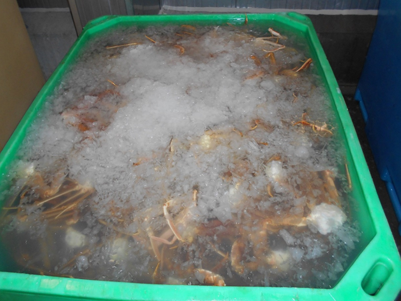 ボイルズワイガニ（原料）