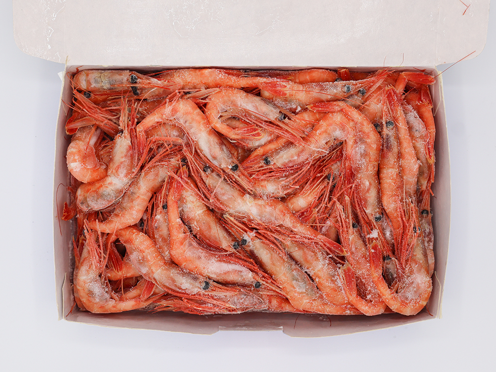 甘えび　(甘えび1kg、甘えびIQF、ボイル甘えび)