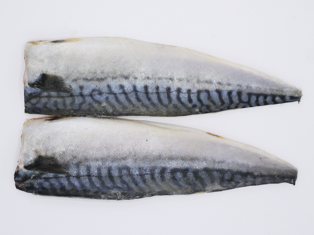 サバ製品 三枚卸フィーレ(無塩/有塩)、骨取り切身